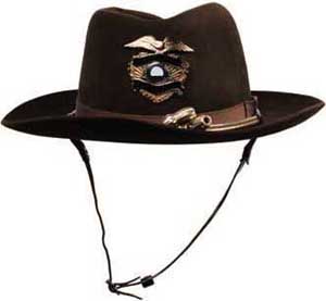 Cowboy-hatt