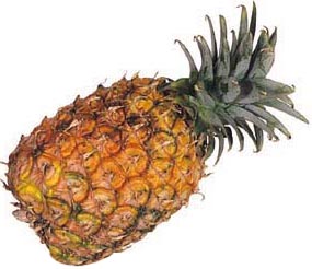 Ananas